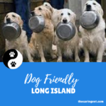 Dog Friendly Long Island
