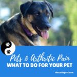 Pets and Arthritic Pain