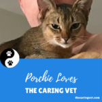 Porchie Loves The Caring Vet