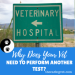 Why Does Your Vet Need To Perform Another Test?