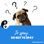To Spay or Not to Spay