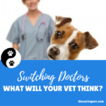 What Would Your Current Veterinarian Think If You Visited Another Vet?