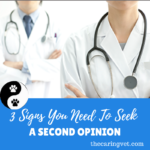 3 Signs You Need To Seek a Second Opinion