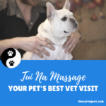 Veterinary Massage, or Tui Na