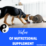 Value of Nutritional Supplement