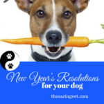 New Year’s Resolutions for your Dog