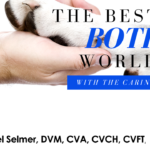 New Book on “Holistic Veterinary Care” by Dr. Michel Selmer DVM
